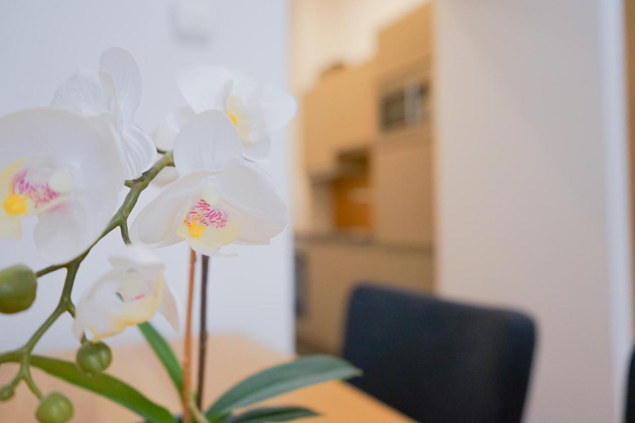 Nadland Apartments B7 Wiedeń Zewnętrze zdjęcie